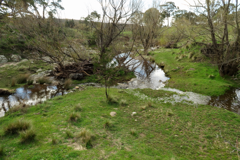 This is the same place as before where Turallo Creek meets the minor mountain stream. Last time I couldn't get near to it safely! A few days later and whilst the water levels are still high, I can now safely cross it again.