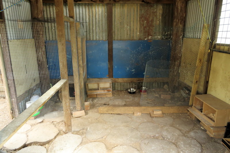The division. On the left is the broody quarters for mum and on the right, the quarters for the new girls.