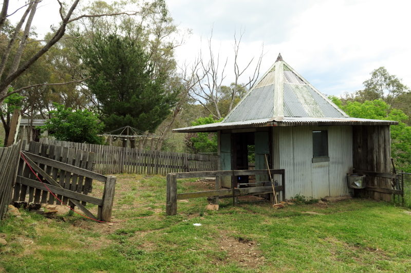The outer enclosure and the chook house. It has two areas, the area where the grass grows really well and the area that is mostly dirt - the best of both worlds.